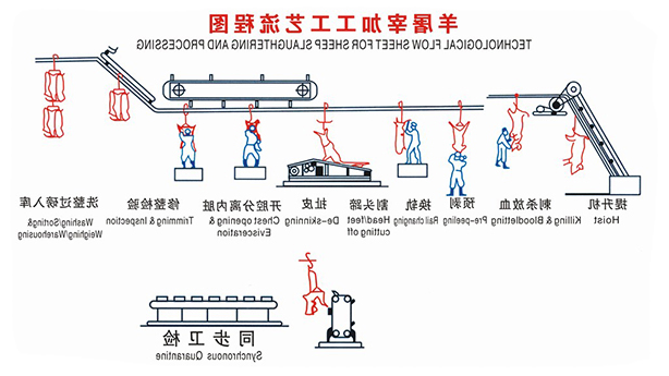 l3羊屠宰工艺流程.jpg