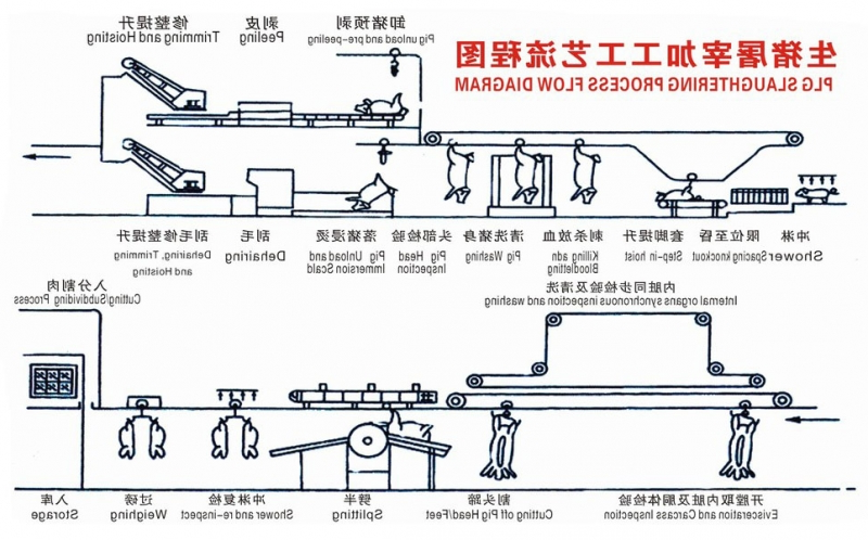 鄂州猪屠宰工艺流程