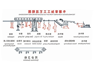 攀枝花牛屠宰工艺流程